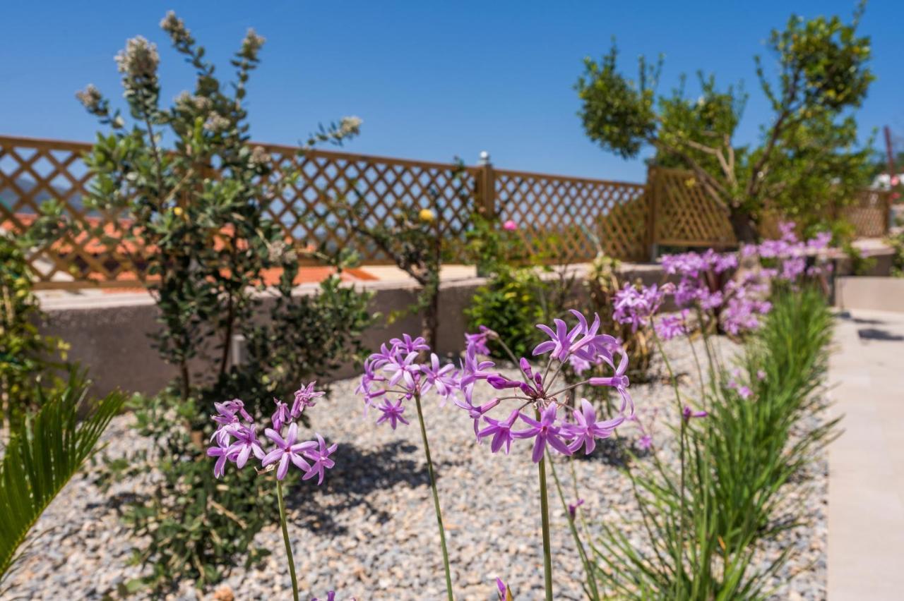 Villa Eva Provarma Exteriér fotografie